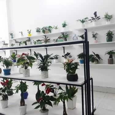 Tổng hợp- Gác Xinh - Floutea Hạ Long