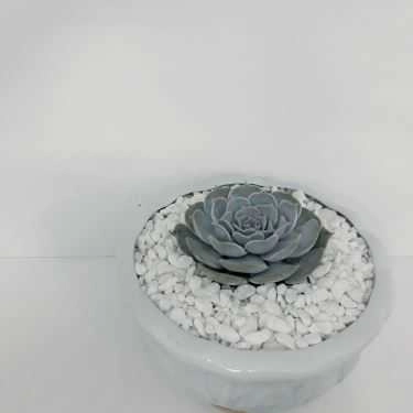 Tổng hợp- Gác Xinh - Floutea Hạ Long