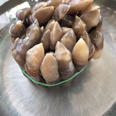 Tổng hợp- Quán Ăn Gành Ốc Quán