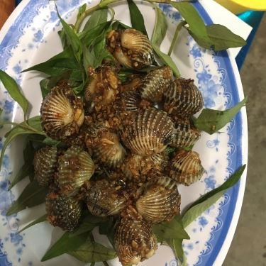 Tổng hợp- Quán Ăn Gành Ốc Quán