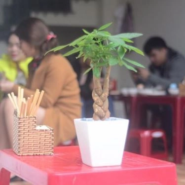 Không gian- Quán Ăn Gấu Béo - Ram Bánh Mướt