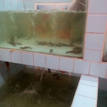 Tổng hợp- Quán Ăn Quán 01 - Ăn Gia Đình & Nhậu Bình Dân