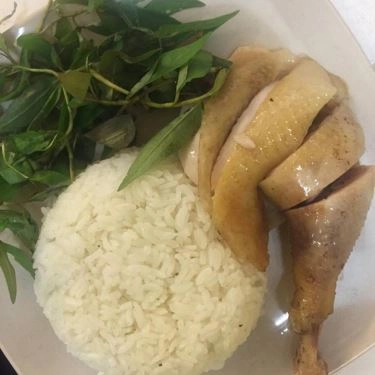 Tổng hợp- Quán Ăn Gia Hy - Cơm Gà & Bún Cá Ngừ Phan Rang