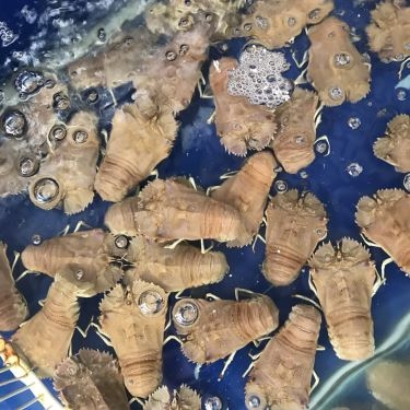 Tổng hợp- Quán Ăn Giang Ghẹ 1 - Hải Sản Tươi Sống - Quốc Lộ 13