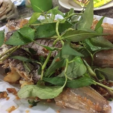Tổng hợp- Quán Ăn Giang Ghẹ 5 - Hải Sản Tươi Sống - Trường Chinh