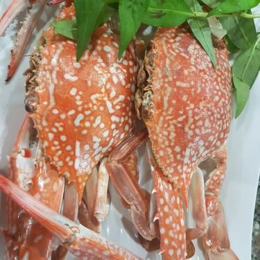 Tổng hợp- Quán Ăn Giang Ghẹ 5 - Hải Sản Tươi Sống - Trường Chinh