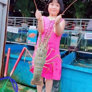 Tổng hợp- Quán Ăn Giang Ghẹ 5 - Hải Sản Tươi Sống - Trường Chinh