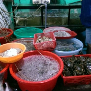 Tổng hợp- Quán Ăn Gió Biển Quán - Hải Sản Bình Dân