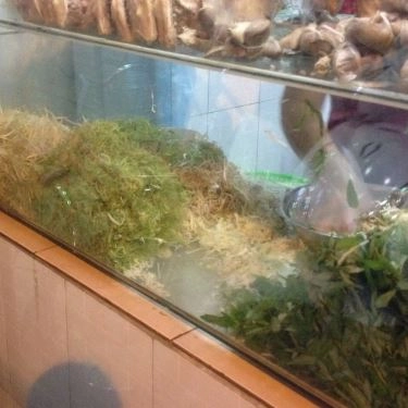 Tổng hợp- Quán Ăn Gỏi Vịt Ba Chiến