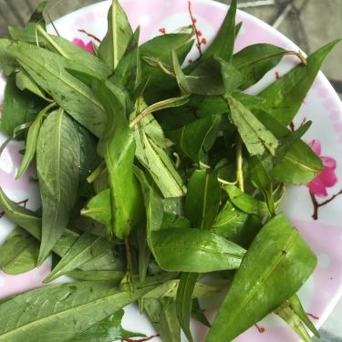 Món ăn- Quán Ăn Há Cảo Phát Đạt