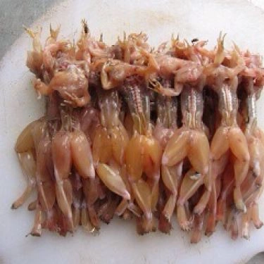 Tổng hợp- Quán Ăn Hà Khuê - Chả Nhái Gia Truyền Khương Thượng