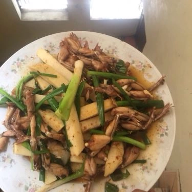 Tổng hợp- Quán Ăn Hà Khuê - Chả Nhái Gia Truyền Khương Thượng
