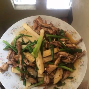 Tổng hợp- Quán Ăn Hà Khuê - Chả Nhái Gia Truyền Khương Thượng