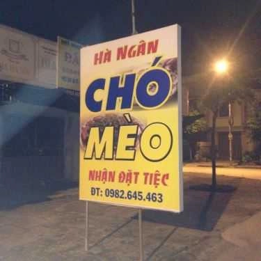 Tổng hợp- Hà Ngân - Đặc Sản Chó & Mèo