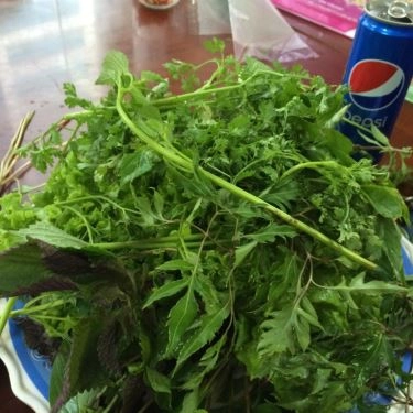 Tổng hợp- Quán Ăn Habibi Hoàng Bèo - Bánh Tráng Cuốn Thịt Heo - Duy Tân