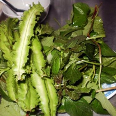 Tổng hợp- Quán Ăn Hai He - Cháo Môn Lươn & Ếch
