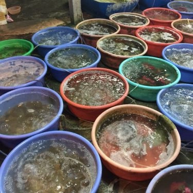 Tổng hợp- Quán Ăn Hải Sản Bà Cường