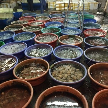 Tổng hợp- Quán Ăn Hải Sản Bà Cường
