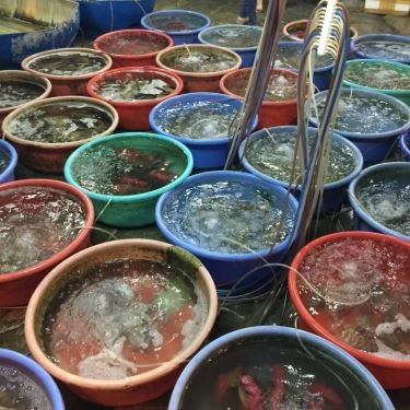 Tổng hợp- Quán Ăn Hải Sản Bà Cường
