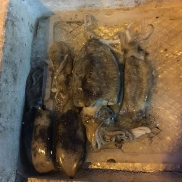 Tổng hợp- Quán Ăn Hải Sản Bà Cường