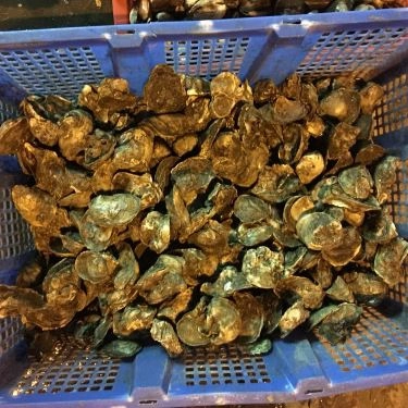Tổng hợp- Quán Ăn Hải Sản Bà Cường