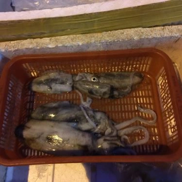 Tổng hợp- Quán Ăn Hải Sản Bà Cường