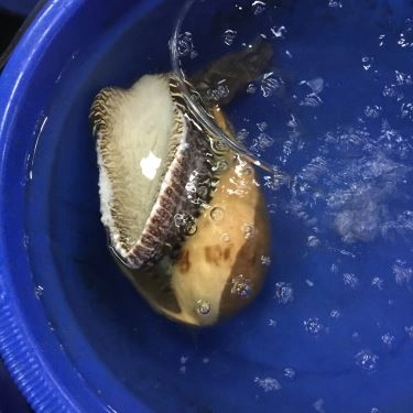 Tổng hợp- Quán Ăn Hải Sản Bà Cường