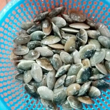 Tổng hợp- Quán Ăn Hải Sản Bé Mặn B