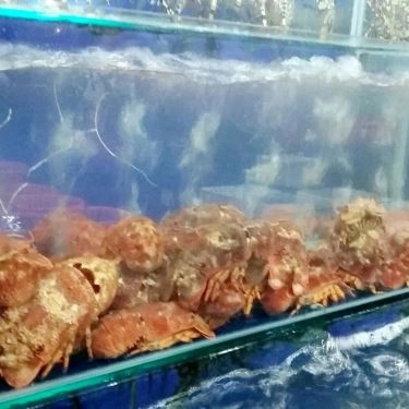 Tổng hợp- Quán Ăn Hải Sản Bé Mặn B