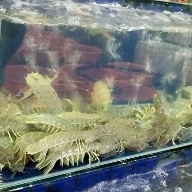 Tổng hợp- Quán Ăn Hải Sản Bé Mặn B