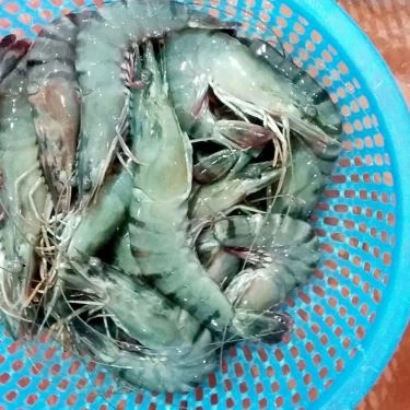 Tổng hợp- Quán Ăn Hải Sản Bé Mặn B