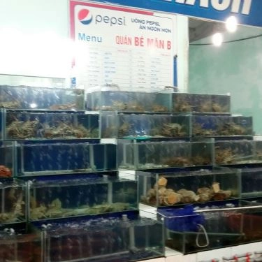 Tổng hợp- Quán Ăn Hải Sản Bé Mặn B