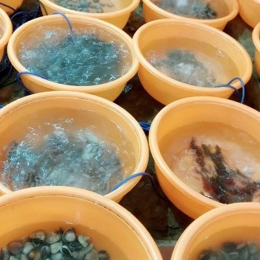 Tổng hợp- Quán Ăn Hải Sản Bé Mặn B