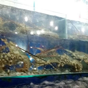 Tổng hợp- Quán Ăn Hải Sản Bé Mặn B