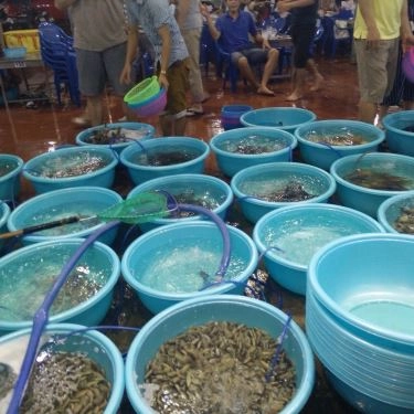 Tổng hợp- Quán Ăn Hải Sản Bé Mặn B