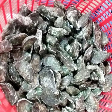 Tổng hợp- Quán Ăn Hải Sản Bé Mặn B