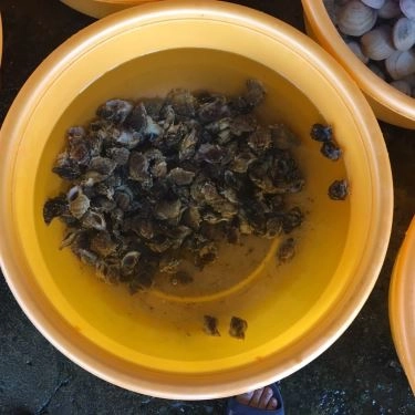 Tổng hợp- Quán Ăn Hải Sản Bé Mặn B
