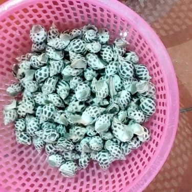 Tổng hợp- Quán Ăn Hải Sản Bé Mặn B