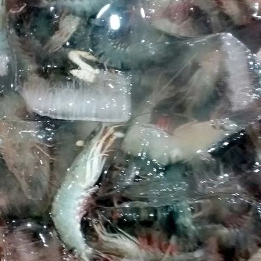 Tổng hợp- Quán Ăn Hải Sản Bé Mặn B