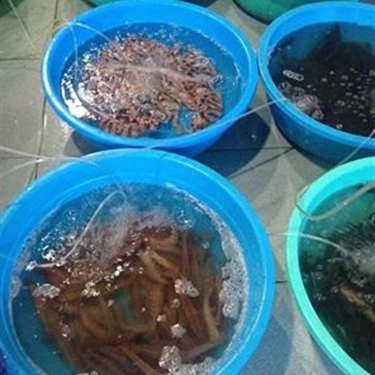 Thực đơn- Quán Ăn Hải Sản Bé Ni 1 - Võ Nguyên Giáp