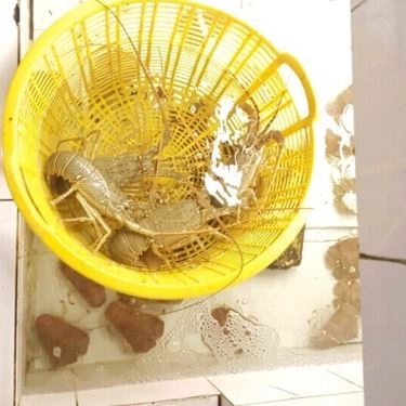 Tổng hợp- Quán Ăn Hải Sản Biển Đông