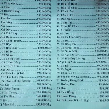 Tổng hợp- Quán Ăn Hải Sản Biển Đông