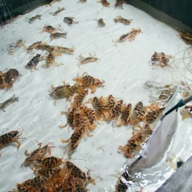 Tổng hợp- Quán Ăn Hải Sản Biển Phố