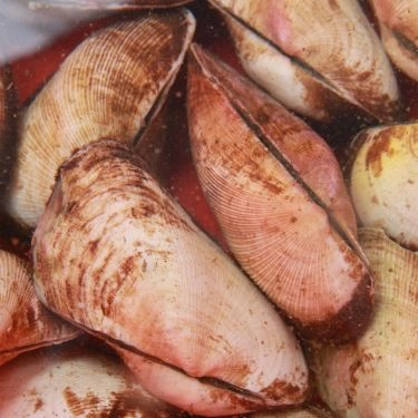 Tổng hợp- Quán Ăn Hải Sản Biển Phố