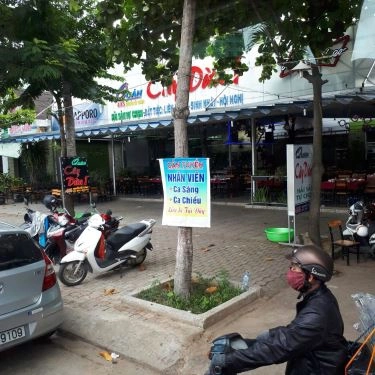 Tổng hợp- Quán Ăn Hải Sản Cây Dừa I