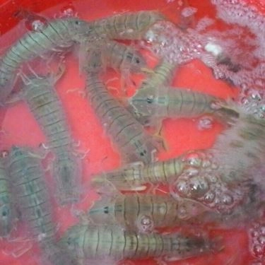 Tổng hợp- Quán Ăn Hải Sản Châu Sơn - Nại Tú 2