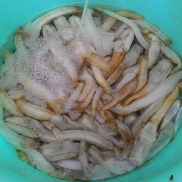 Tổng hợp- Quán Ăn Hải Sản Châu Sơn - Nại Tú 2