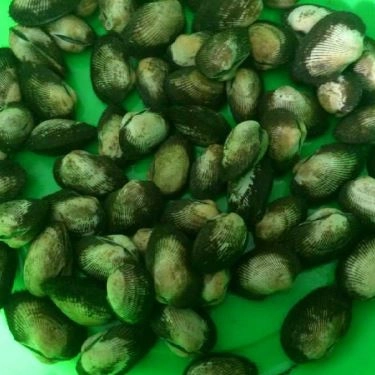 Tổng hợp- Quán Ăn Hải Sản Châu Sơn - Nại Tú 2