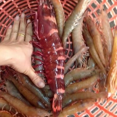 Tổng hợp- Quán Ăn Hải Sản Chinh Phương
