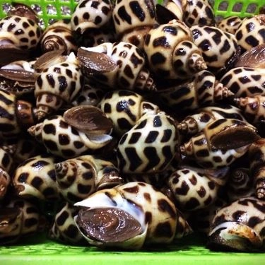 Tổng hợp- Quán Ăn Hải Sản Chinh Phương